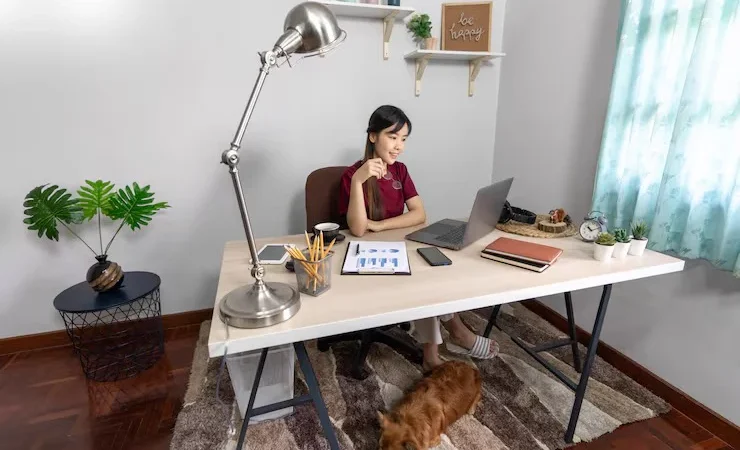 Bijzinnen Engels who which that uitleg