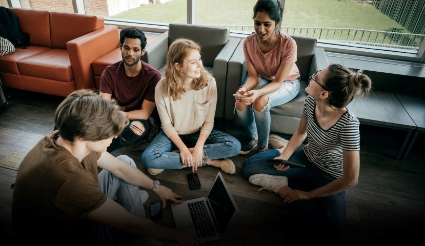 Kayısı ingilizce, Kayısının ingilizcesi nedir, İngilizce kayısı nasıl denir