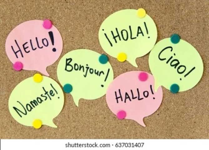 Tuzlu fıstık Almanca, Tuzlu fıstığın Almancası nedir, Almanca tuzlu fıstık nasıl denir