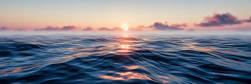 Hizmet ücretleri nelerdir ingilizce, Hizmet ücretleri nelerdir ingilizcesi nedir, İngilizce hizmet ücretleri nelerdir nasıl denir