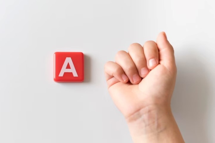 Diyafram ingilizce, Diyaframın ingilizcesi nedir, İngilizce diyafram nasıl denir