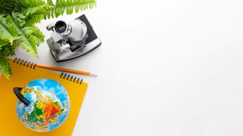 Dünya turu Almanca, Dünya turunun Almancası nedir, Almanca dünya turu nasıl denir