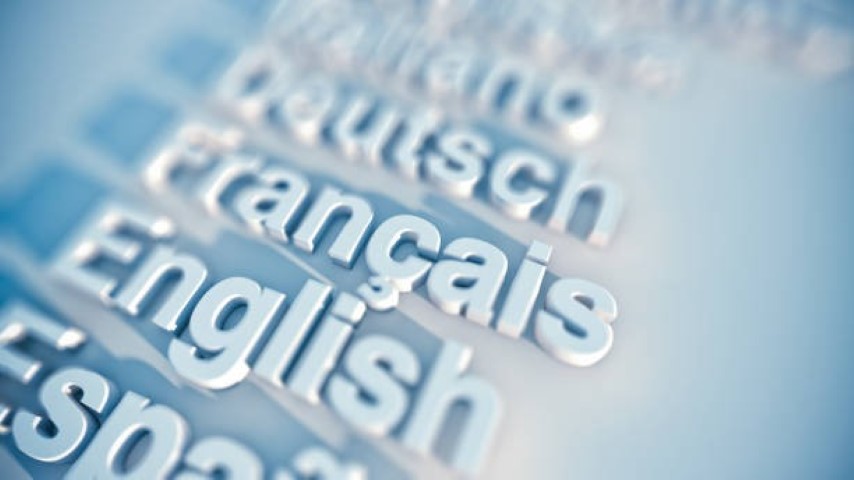 Evet, referans listemi sunabilirim Almanca, Evet, referans listemi sunabilirim Almancası nedir, Almanca evet, referans listemi sunabilirim nasıl denir