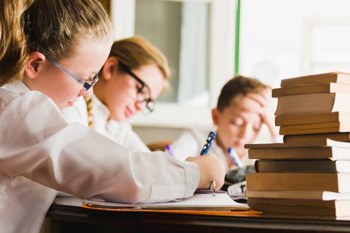 Pilot Almanca, Pilotun Almancası nedir, Almanca pilot nasıl denir